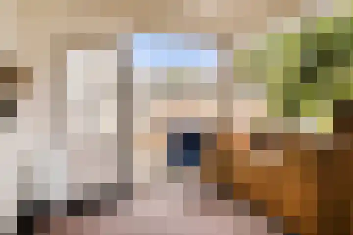 Pelikaanlaan 3 Apeldoorn thumbnail 13