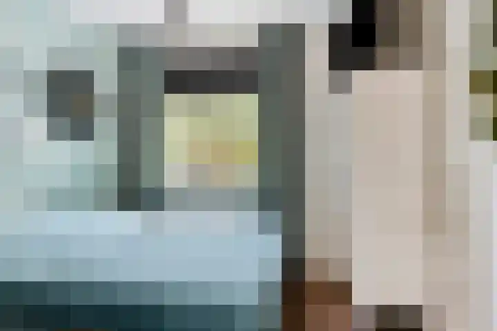 Pelikaanlaan 3 Apeldoorn thumbnail 17