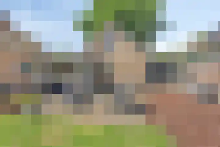 Pelikaanlaan 3 Apeldoorn thumbnail 21