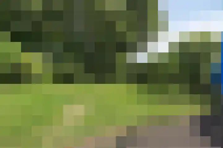 Pelikaanlaan 3 Apeldoorn thumbnail 22