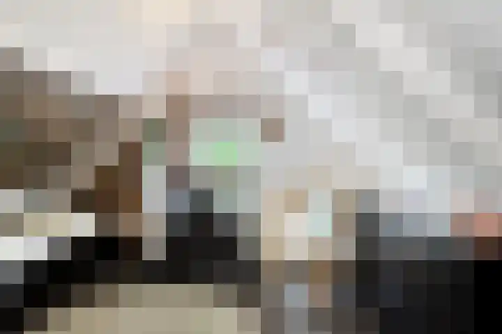 Pelikaanlaan 3 Apeldoorn thumbnail 25