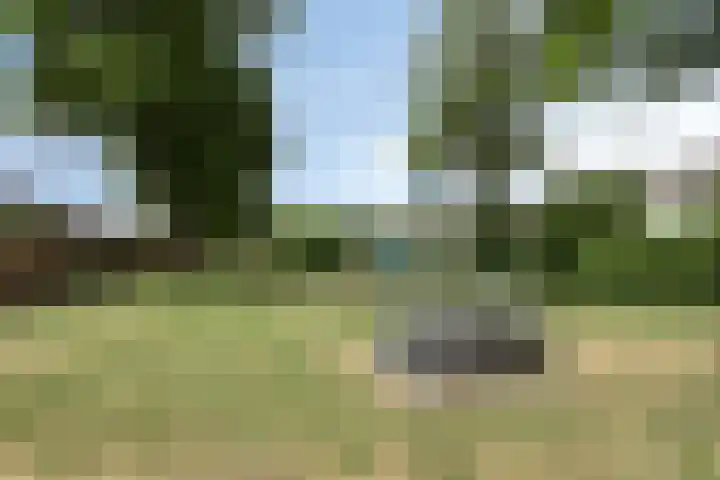 Pelikaanlaan 3 Apeldoorn thumbnail 30