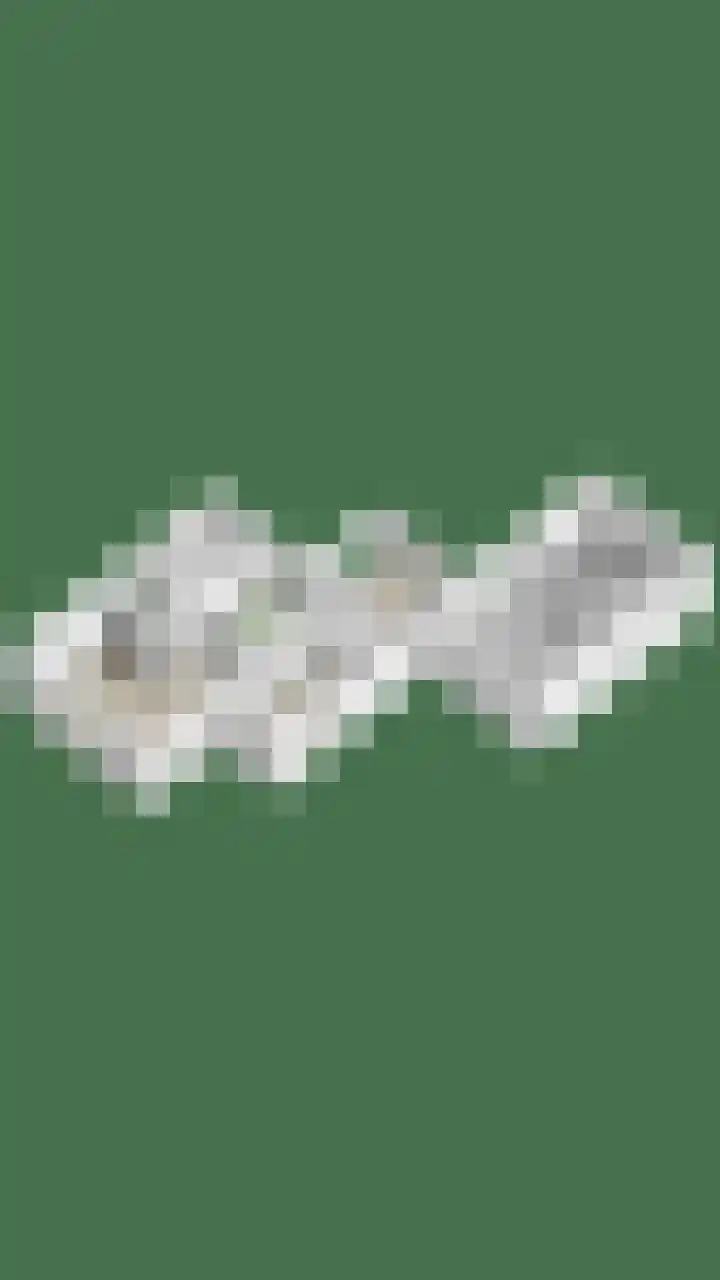 Pelikaanlaan 3 Apeldoorn thumbnail 35