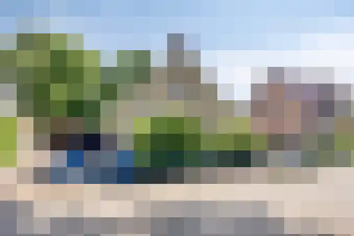 Pelikaanlaan 3 Apeldoorn thumbnail 4