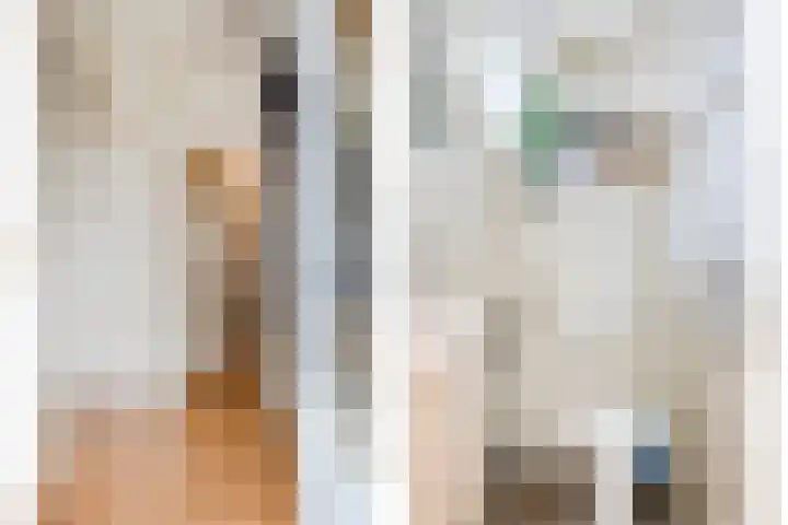 Pelikaanlaan 3 Apeldoorn thumbnail 5