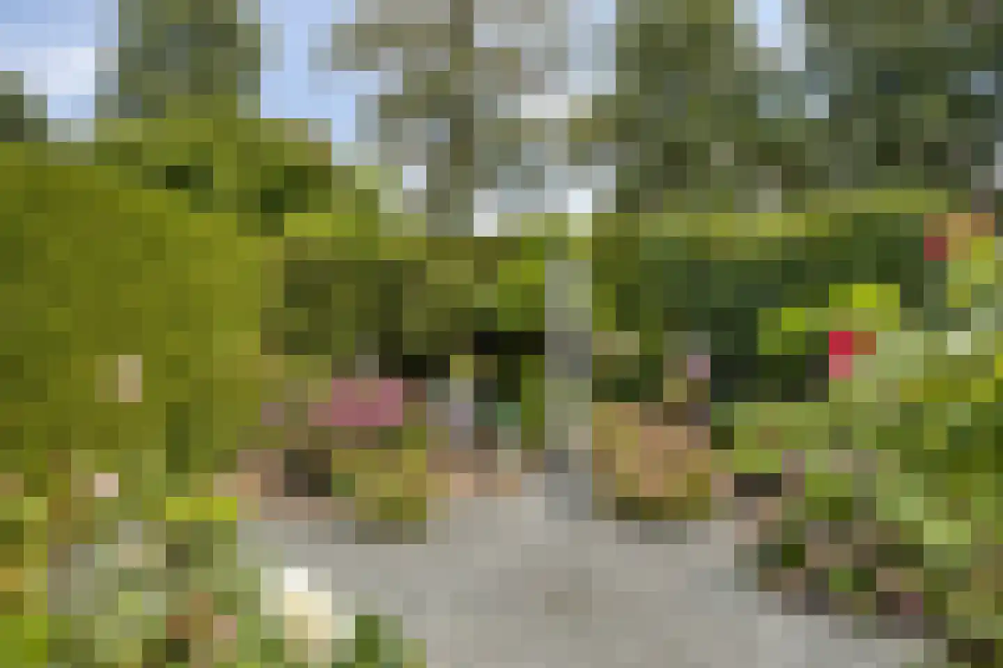 Pelikaanlaan 42 Apeldoorn thumbnail 16