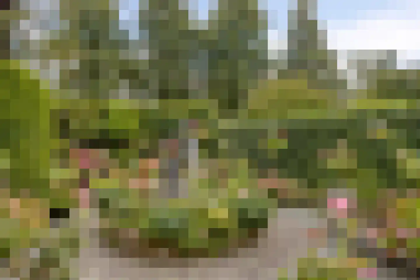 Pelikaanlaan 42 Apeldoorn thumbnail 17