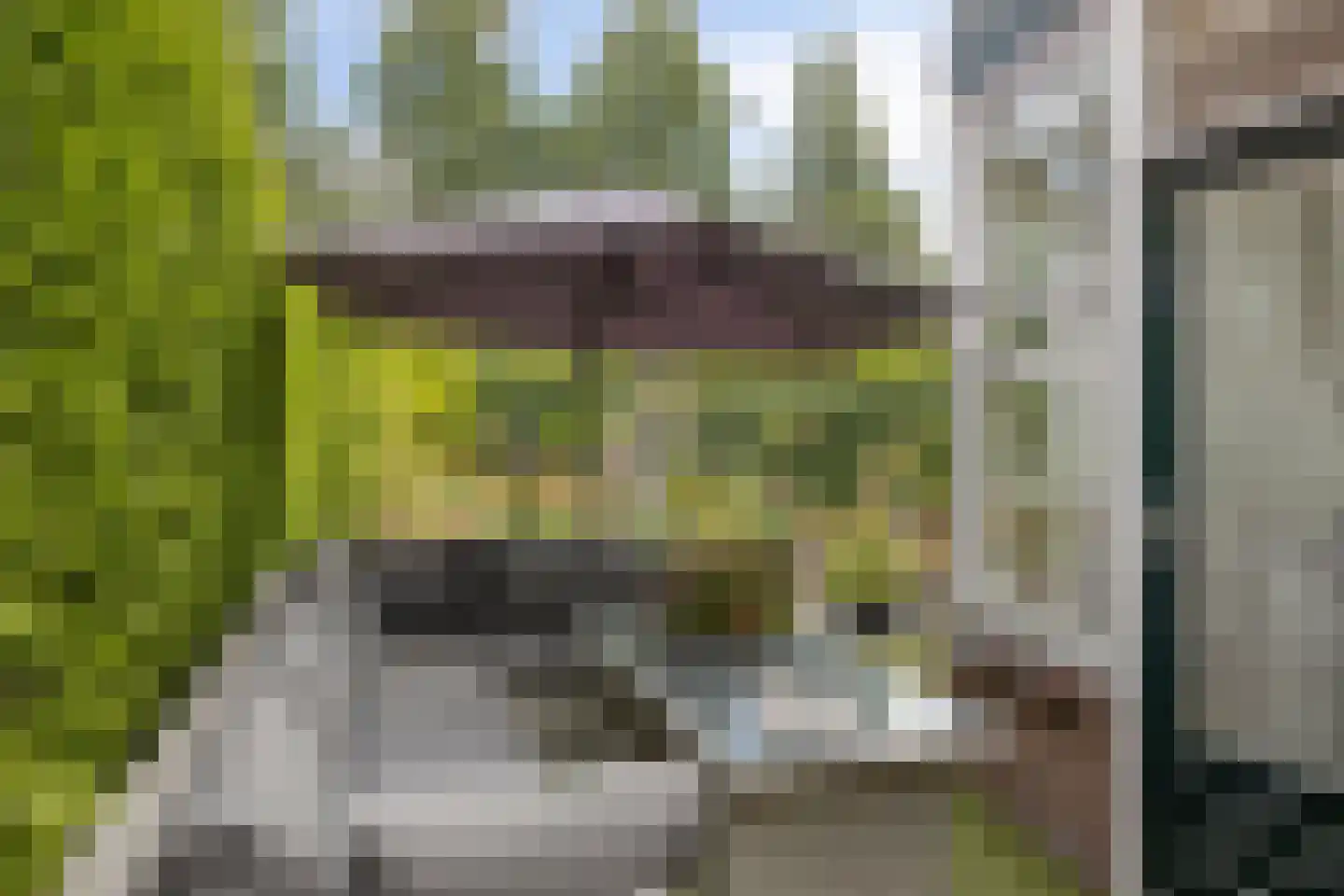 Pelikaanlaan 42 Apeldoorn thumbnail 18