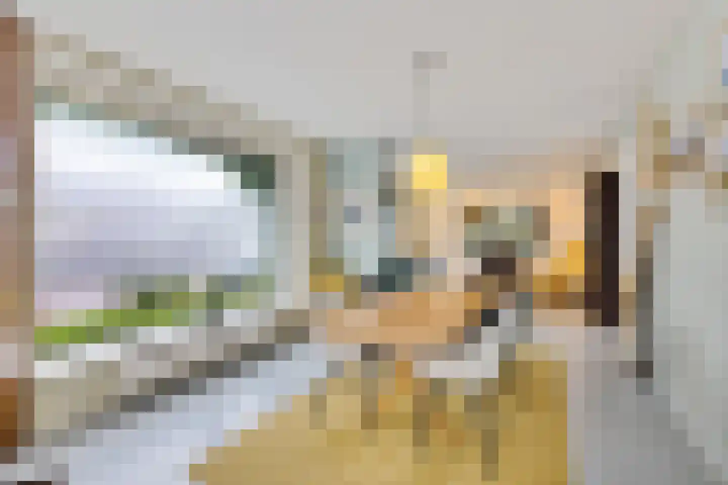 Pelikaanstraat 1 Utrecht thumbnail 14