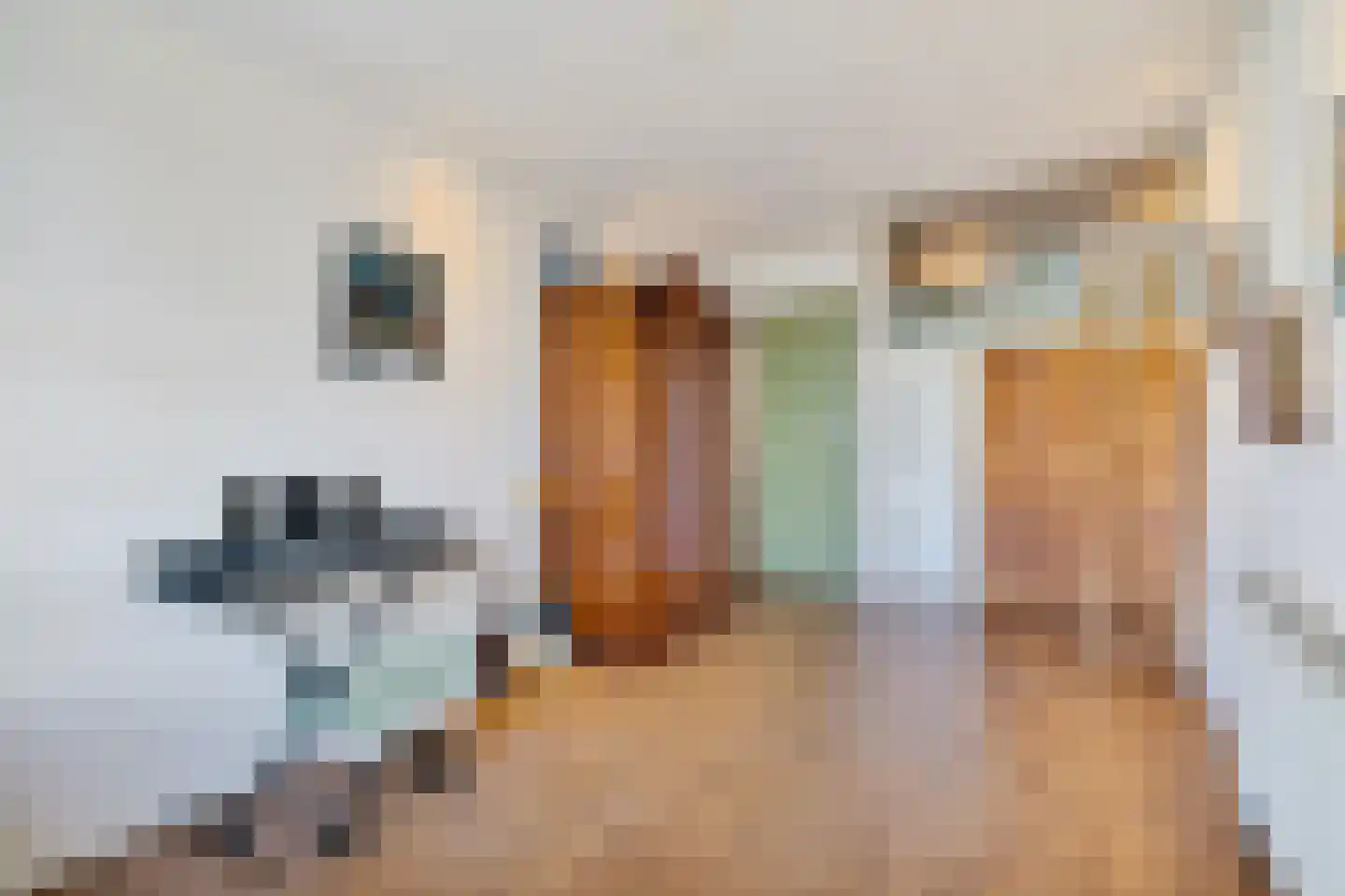 Pelikaanstraat 1 Utrecht thumbnail 7