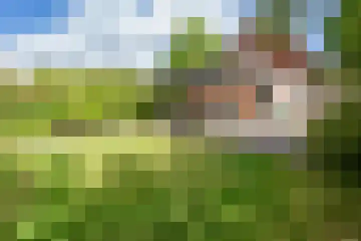 Pelikaanstraat 11 Badhoevedorp thumbnail 6