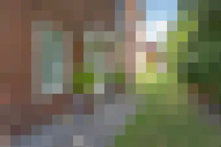 Pelikaanstraat 11 Badhoevedorp thumbnail 7