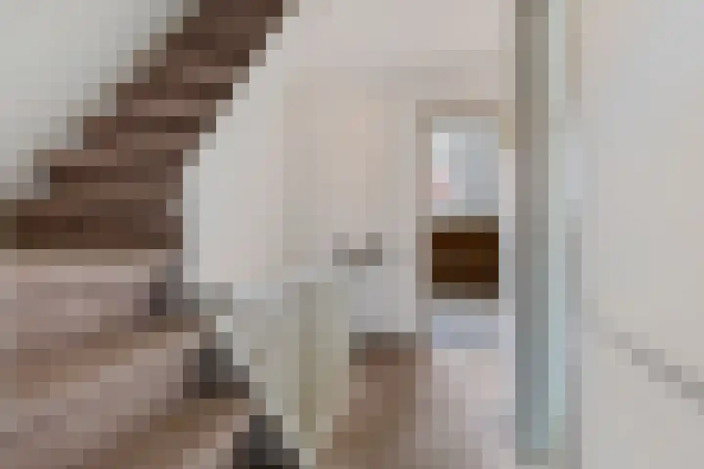 Pelikaanstraat 15 Hilversum thumbnail 21