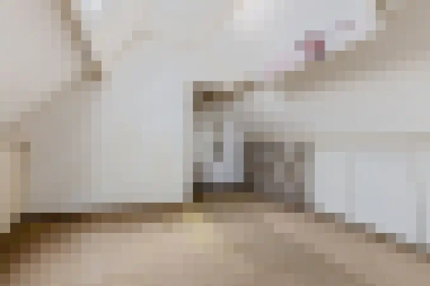 Pelikaanstraat 15 Hilversum thumbnail 22
