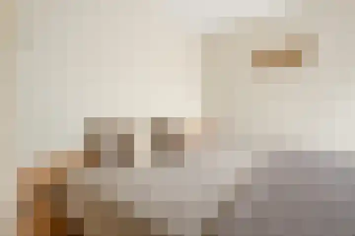 Pelikaanstraat 17 Krommenie thumbnail 19