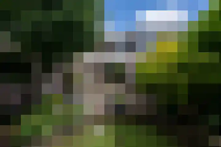 Pelikaanstraat 17 Krommenie thumbnail 30