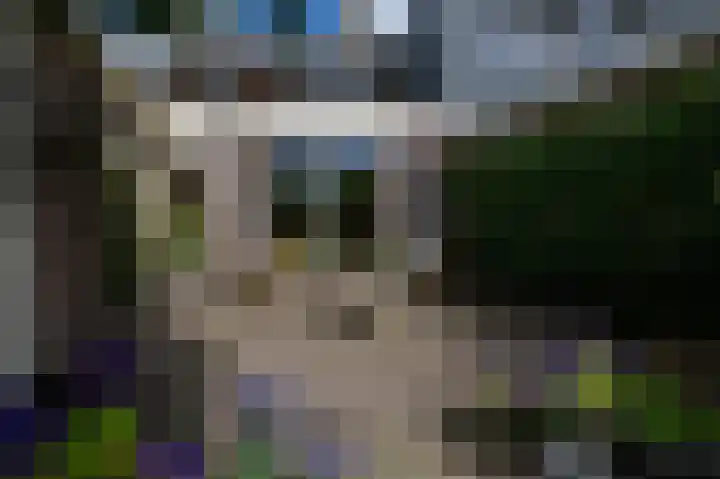 Pelikaanstraat 17 Krommenie thumbnail 31