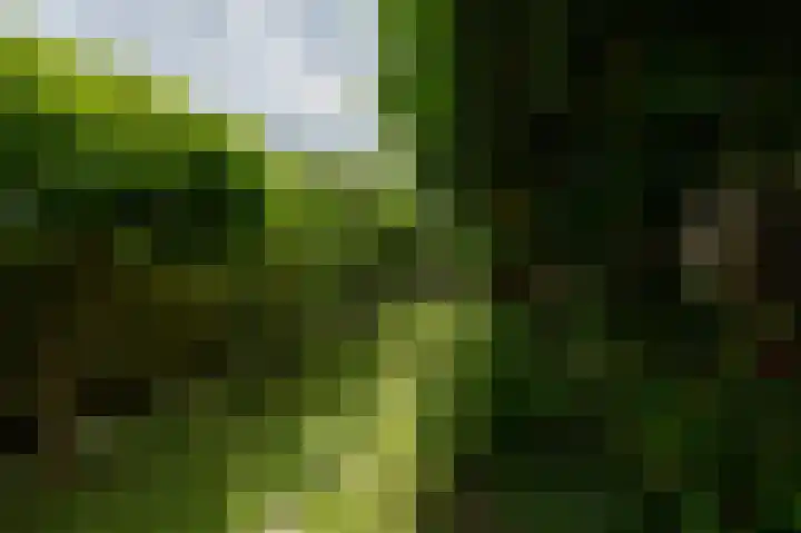 Pelikaanstraat 17 Krommenie thumbnail 32