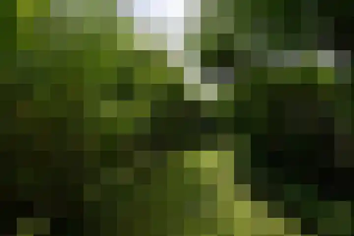 Pelikaanstraat 17 Krommenie thumbnail 34