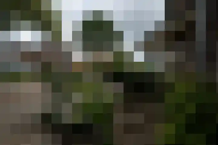 Pelikaanstraat 17 Krommenie thumbnail 37