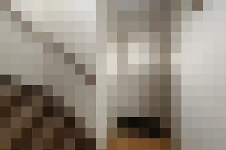 Pelikaanstraat 17 Krommenie thumbnail 4