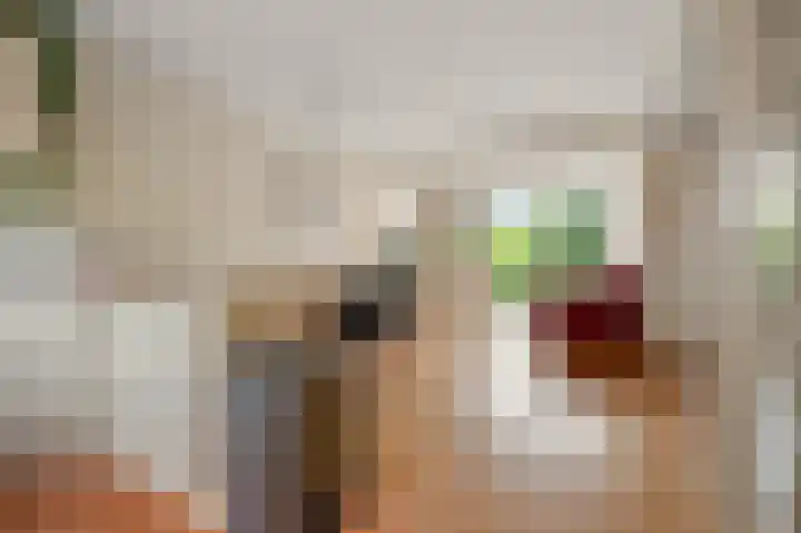 Pelikaanstraat 17 Krommenie thumbnail 5