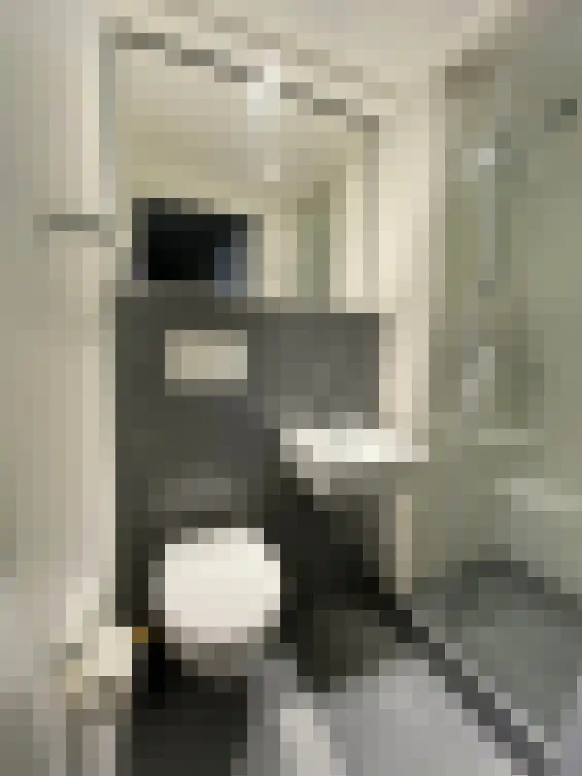 Pelikaanstraat 2 Assen thumbnail 5
