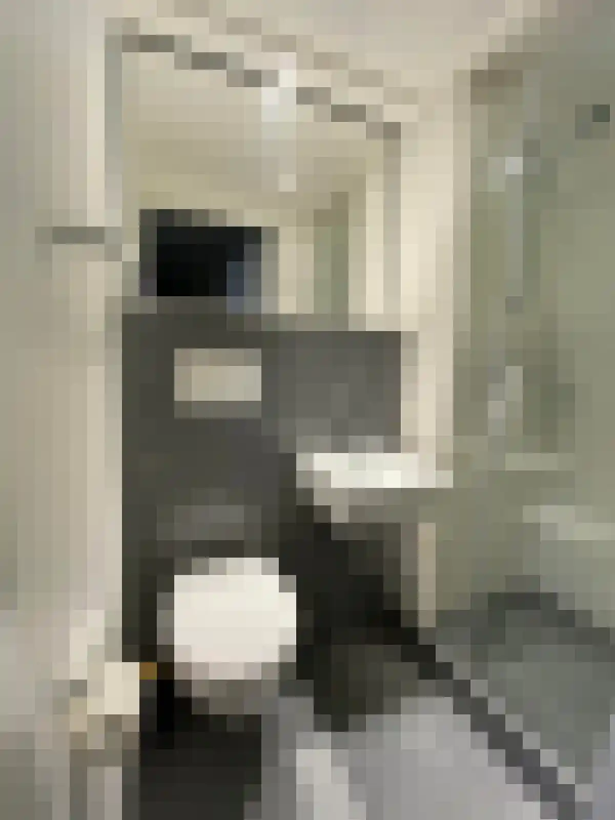 Pelikaanstraat 2 Assen thumbnail 6
