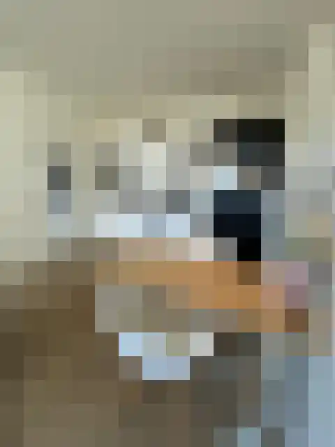 Pelikaanstraat 2 Assen thumbnail 8