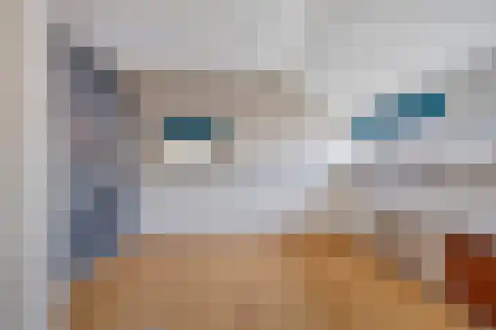Pelikaanstraat 2 Tilburg thumbnail 20