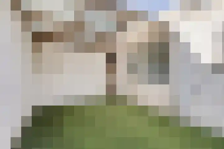 Pelikaanstraat 2 Tilburg thumbnail 26