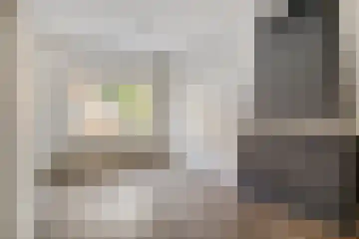 Pelikaanstraat 2 Tilburg thumbnail 9