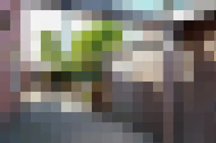 Pelikaanstraat 20 Assen thumbnail 56