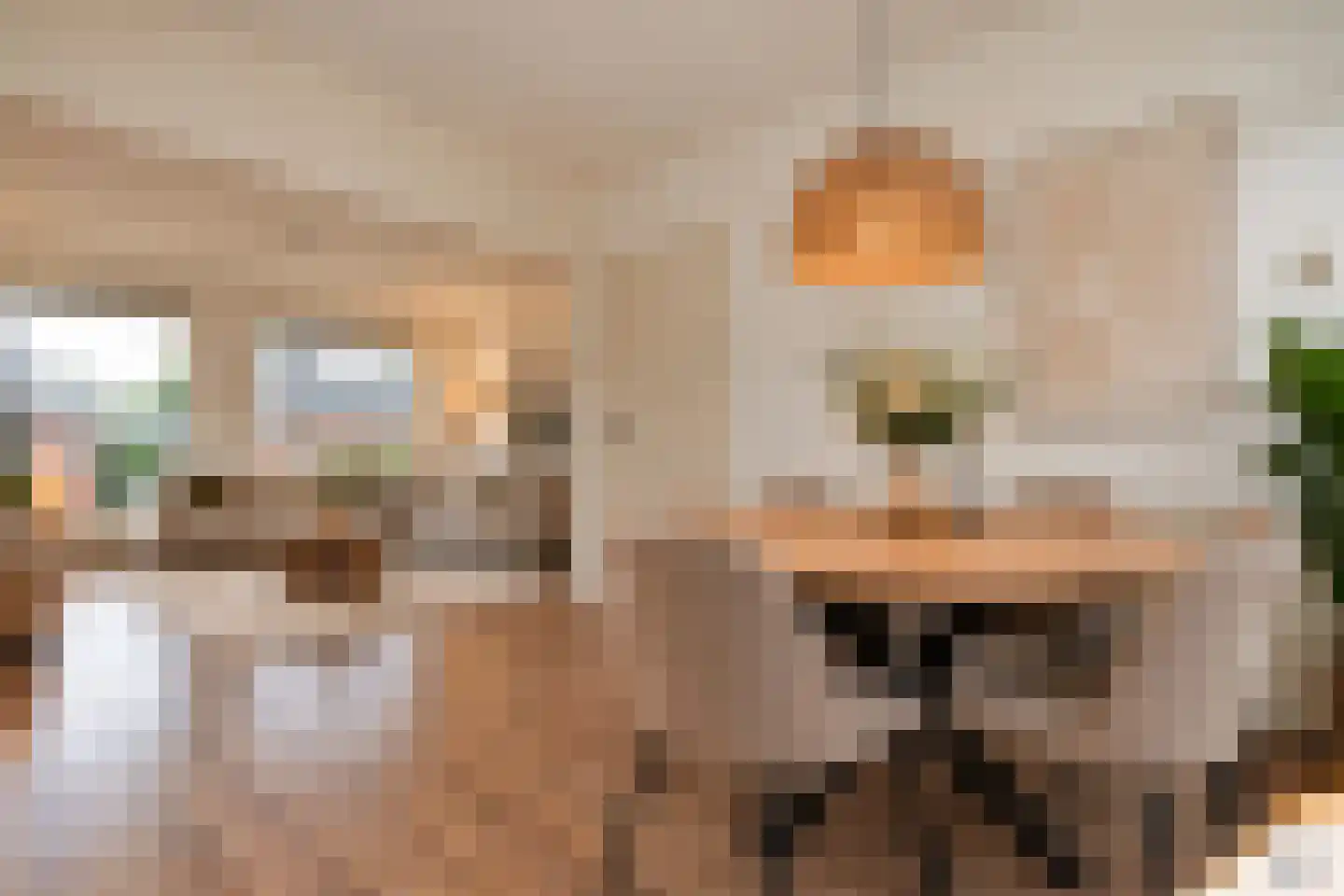 Pelikaanstraat 201 Assen thumbnail 20