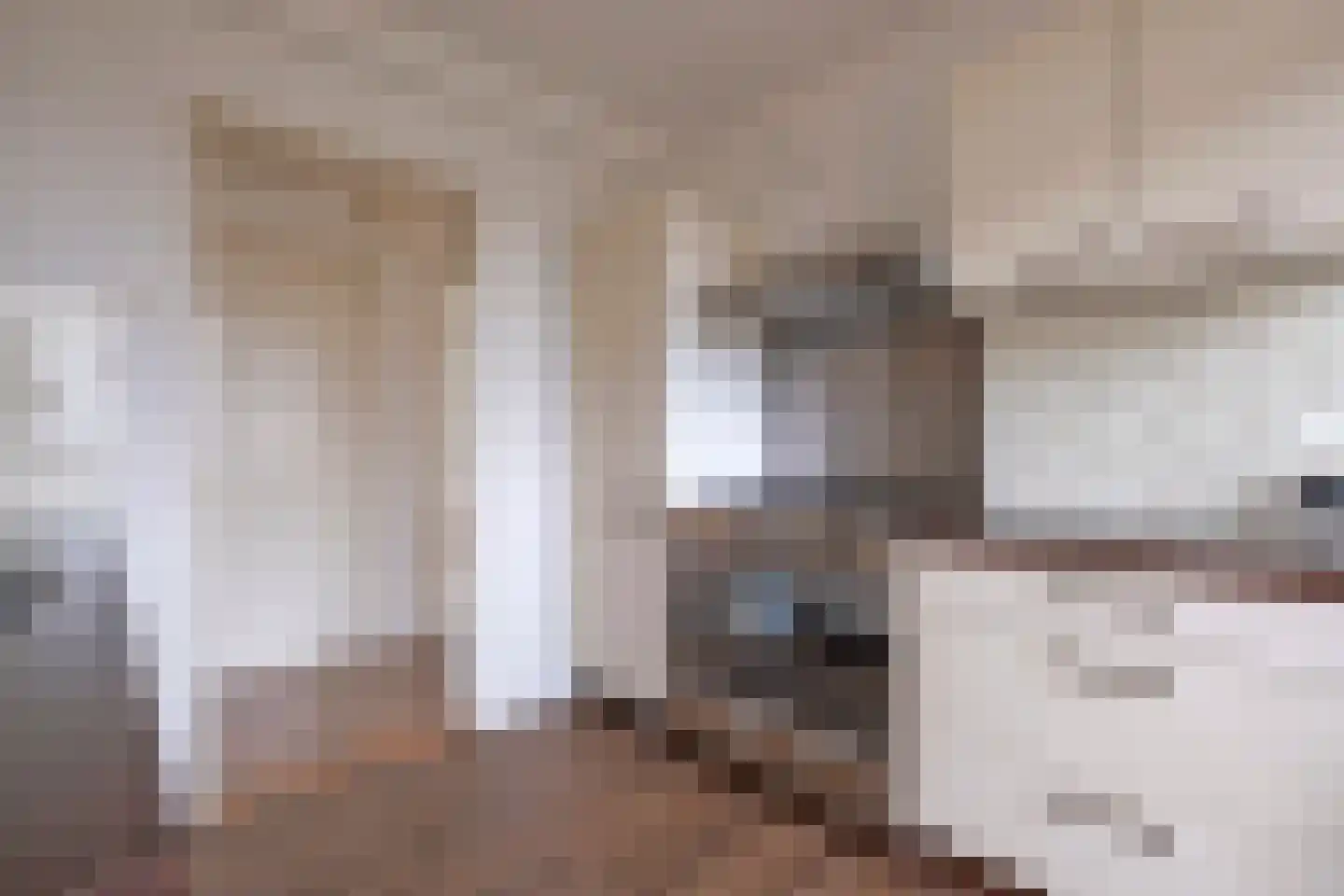 Pelikaanstraat 201 Assen thumbnail 22