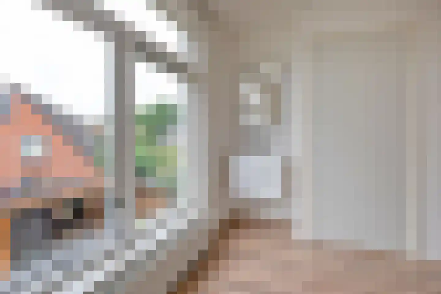 Pelikaanstraat 201 Assen thumbnail 31
