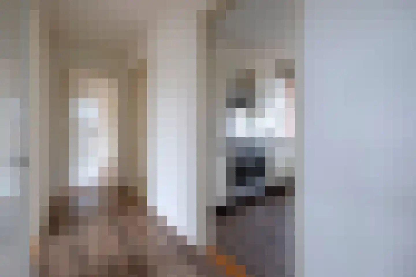 Pelikaanstraat 201 Assen thumbnail 32