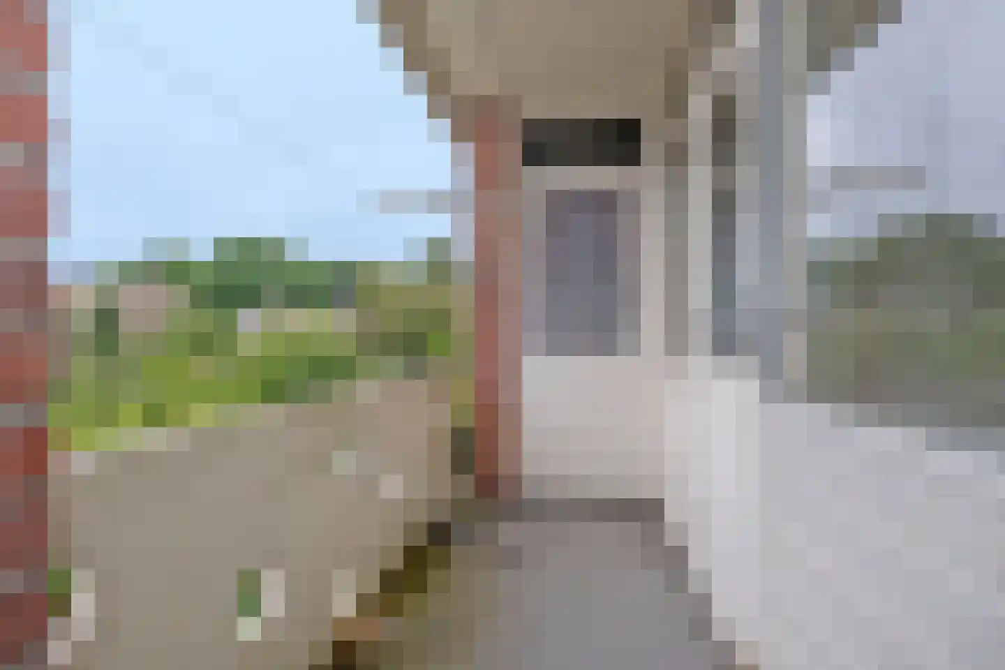Pelikaanstraat 201 Assen thumbnail 35