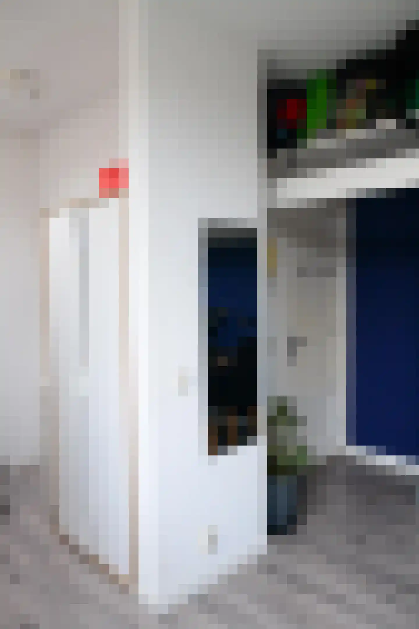 Pelikaanstraat 21 BS Utrecht thumbnail 6