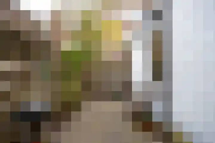Pelikaanstraat 24 Utrecht thumbnail 22