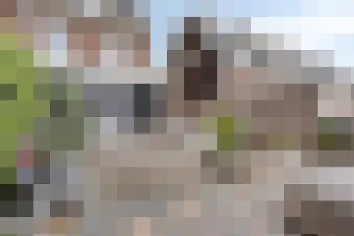 Pelikaanstraat 25 Heerlen thumbnail 27