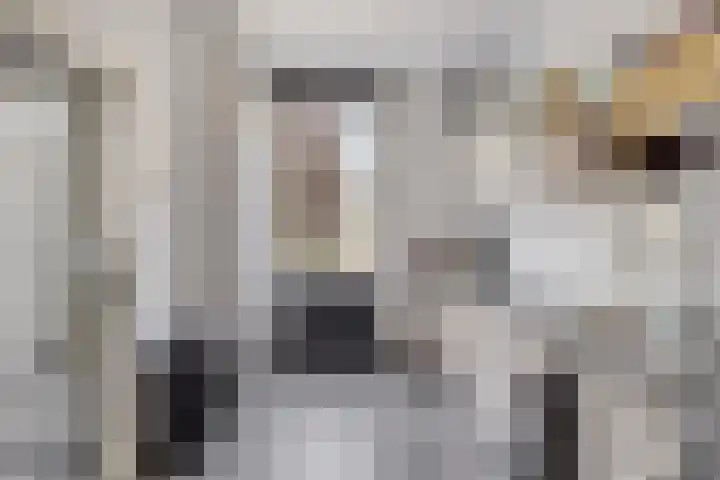 Pelikaanstraat 25 Heerlen thumbnail 7