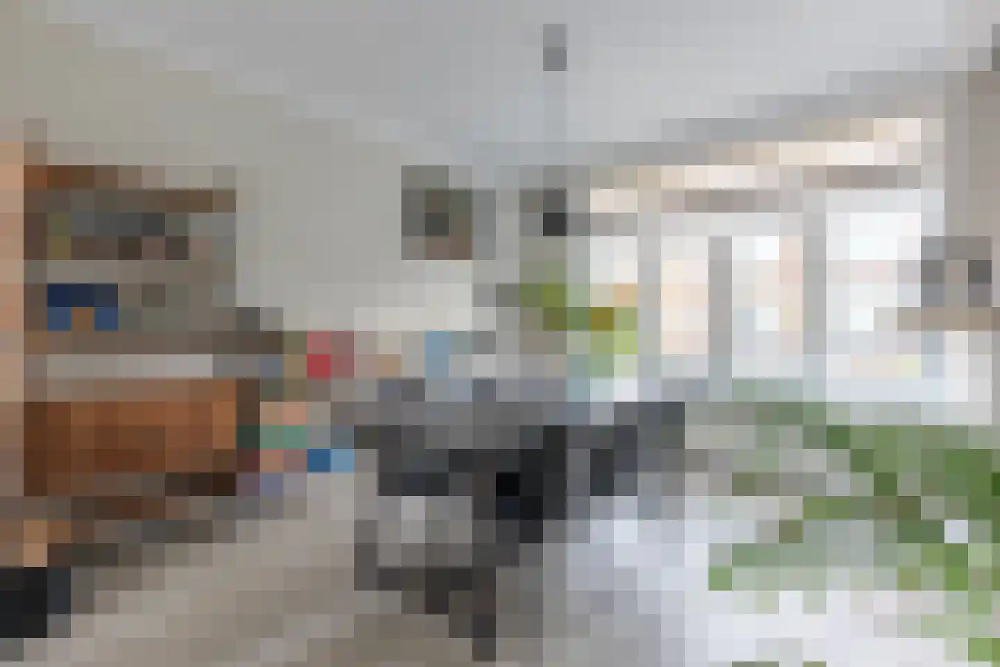 Pelikaanstraat 31 BS Utrecht thumbnail 13
