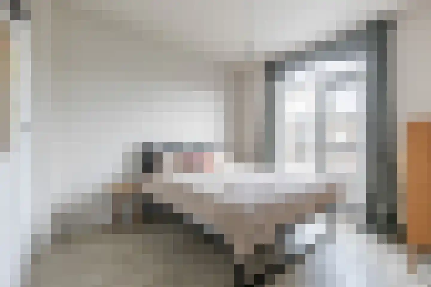 Pelikaanstraat 31 BS Utrecht thumbnail 19