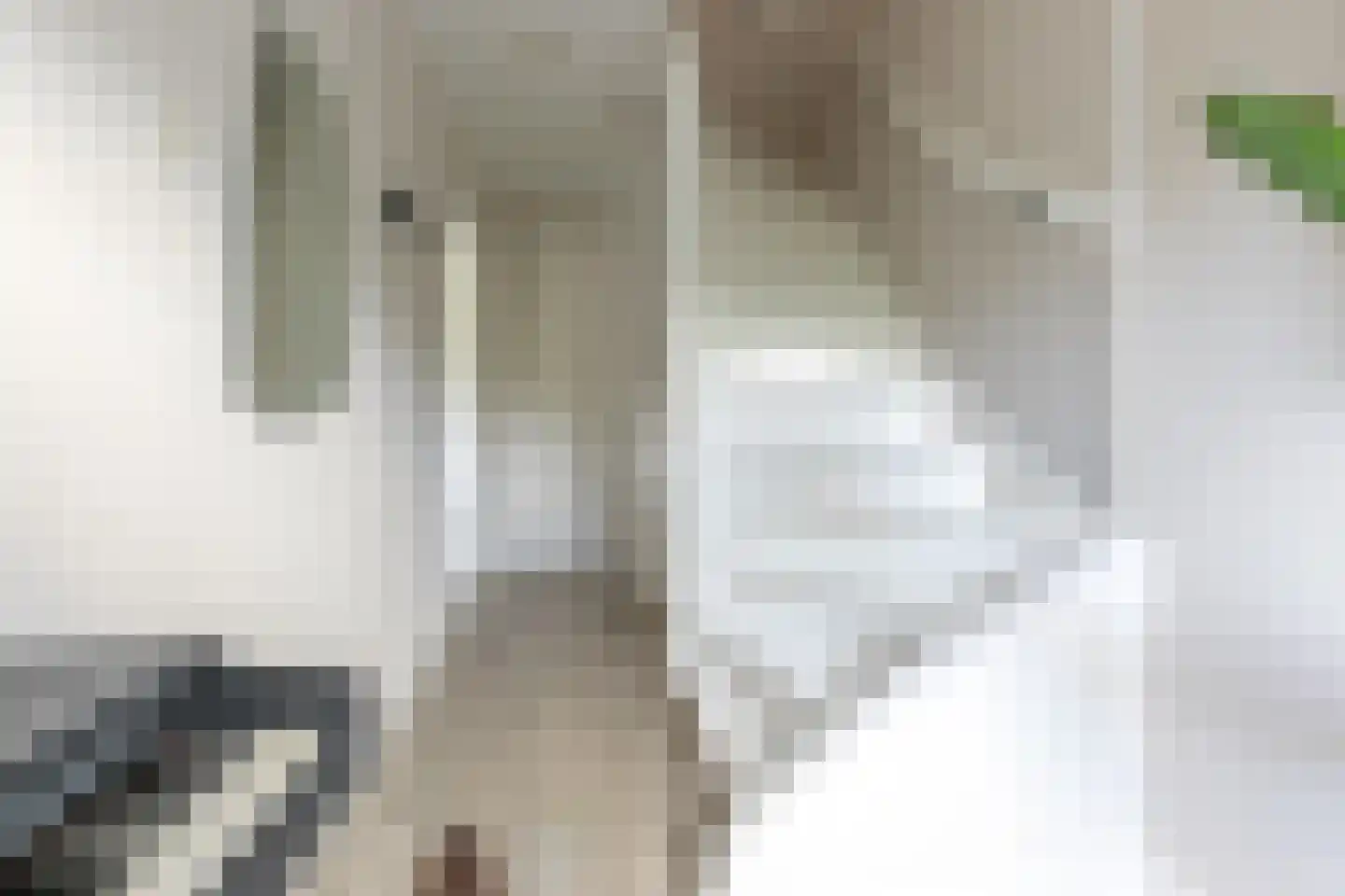 Pelikaanstraat 31 BS Utrecht thumbnail 8