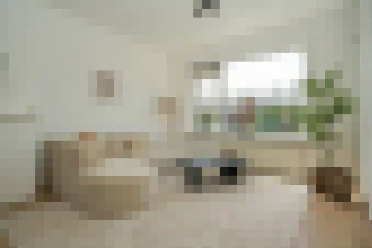 Pelikaanstraat 32 BS Utrecht thumbnail 8