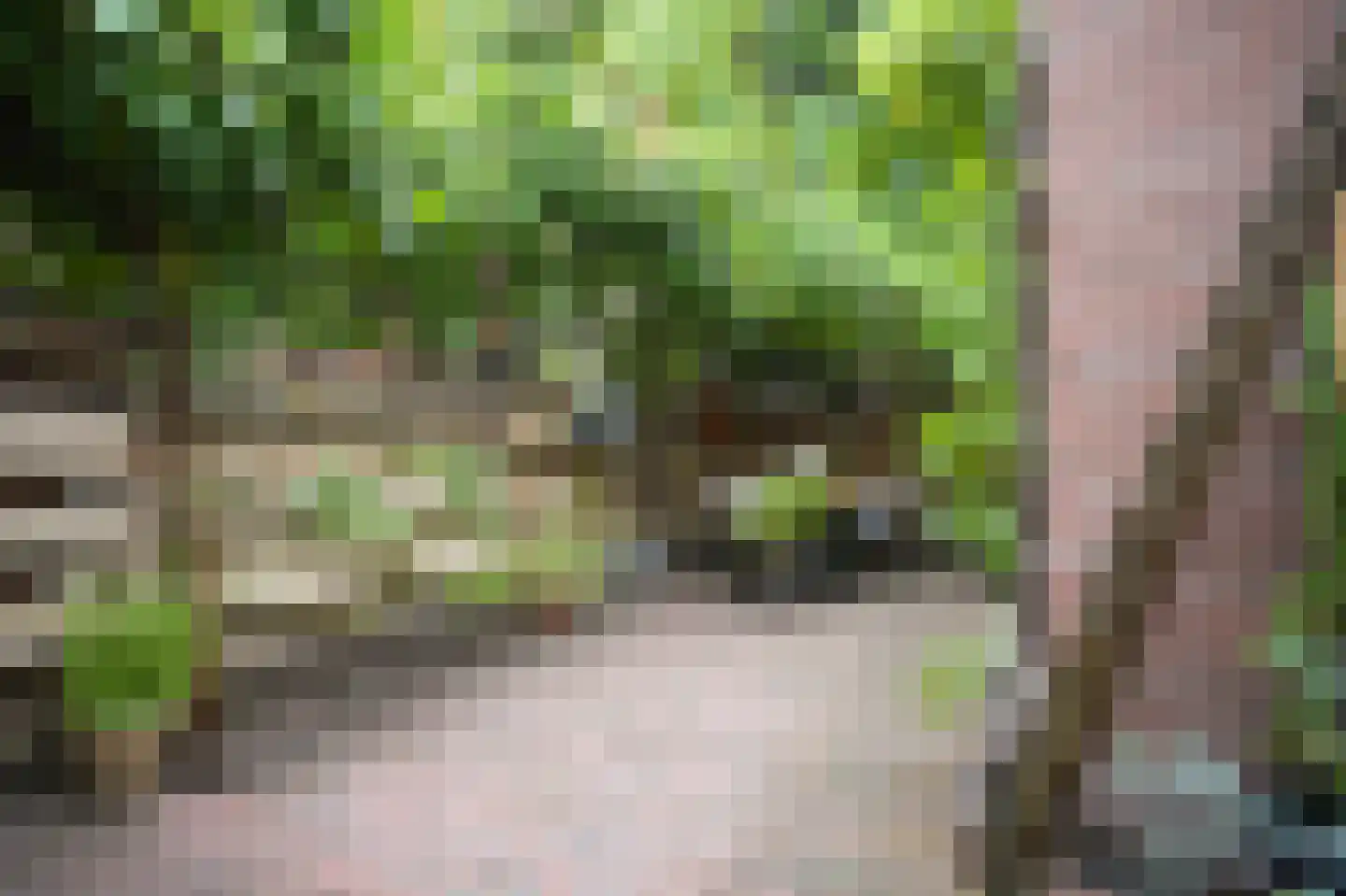Pelikaanstraat 32 Utrecht thumbnail 18