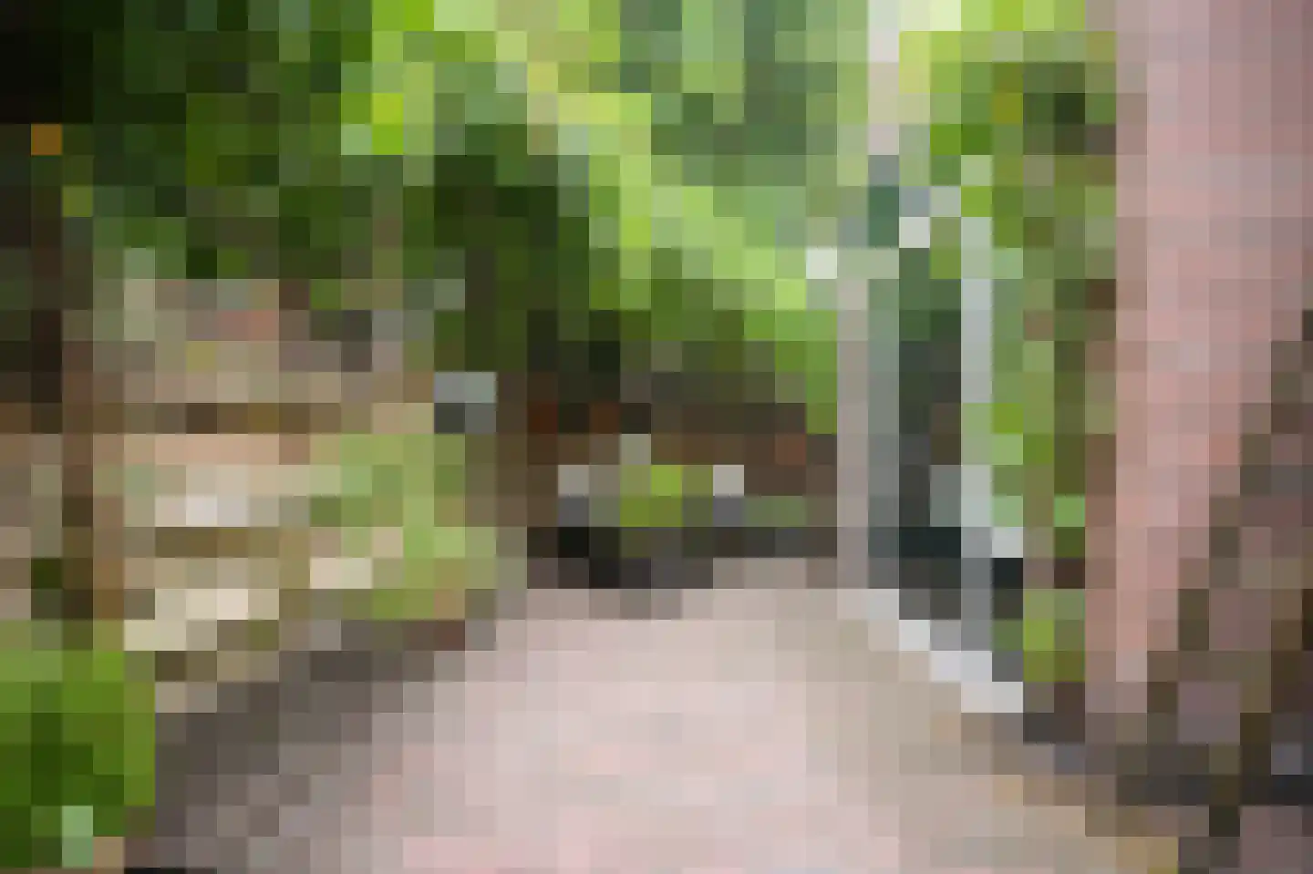 Pelikaanstraat 32 Utrecht thumbnail 19