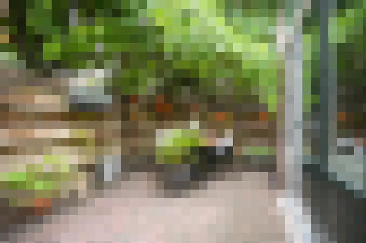 Pelikaanstraat 32 Utrecht thumbnail 20