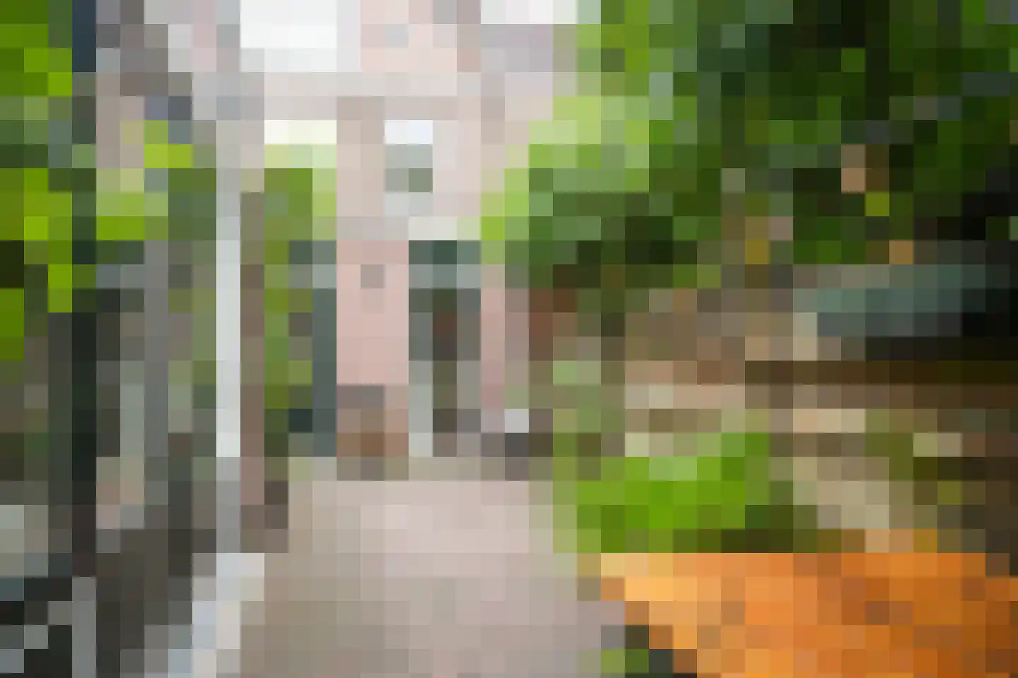 Pelikaanstraat 32 Utrecht thumbnail 22